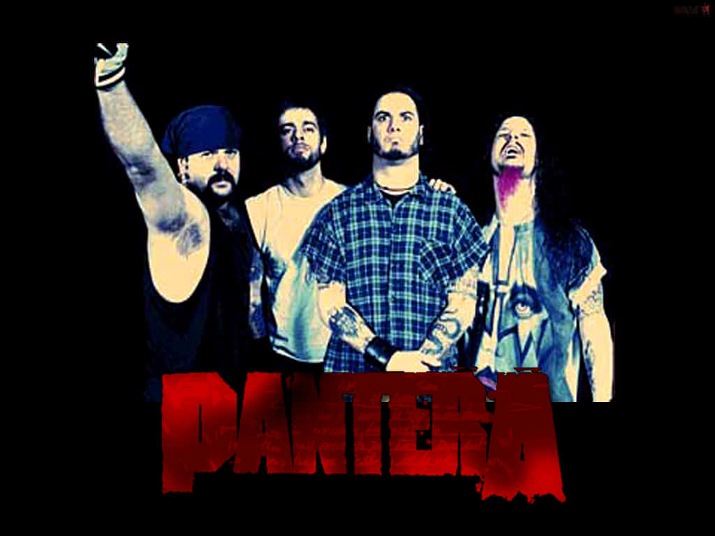 Pantera - Wallpapers - Hd Wallpaper