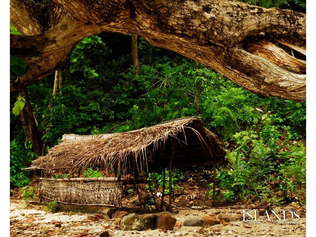 Papua New Guinea Hut Wallpaper