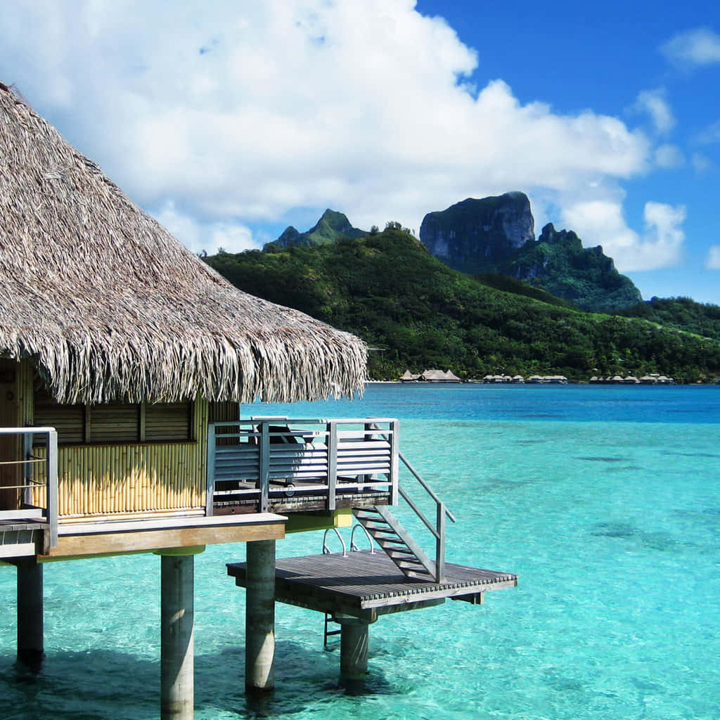 Paradise Found - Marvel At The Beauty Of Bora Bora Wallpaper