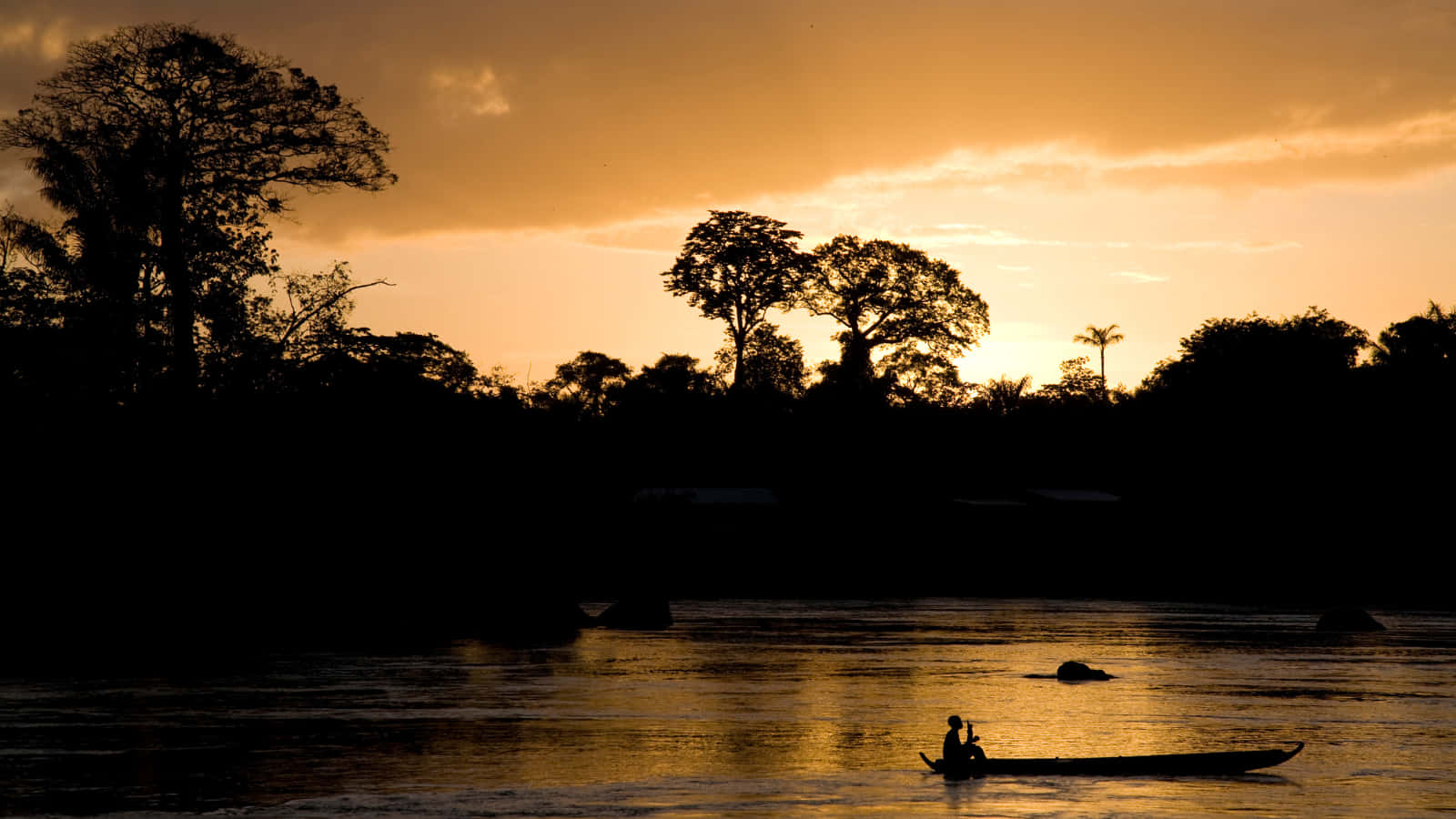 Paramaribo Sunset Silhouette Wallpaper