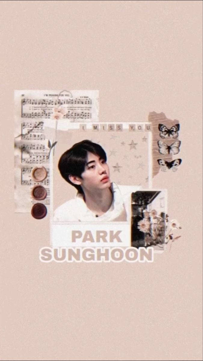 Park Sunghoon Pink Enhypen Aesthetic Wallpaper