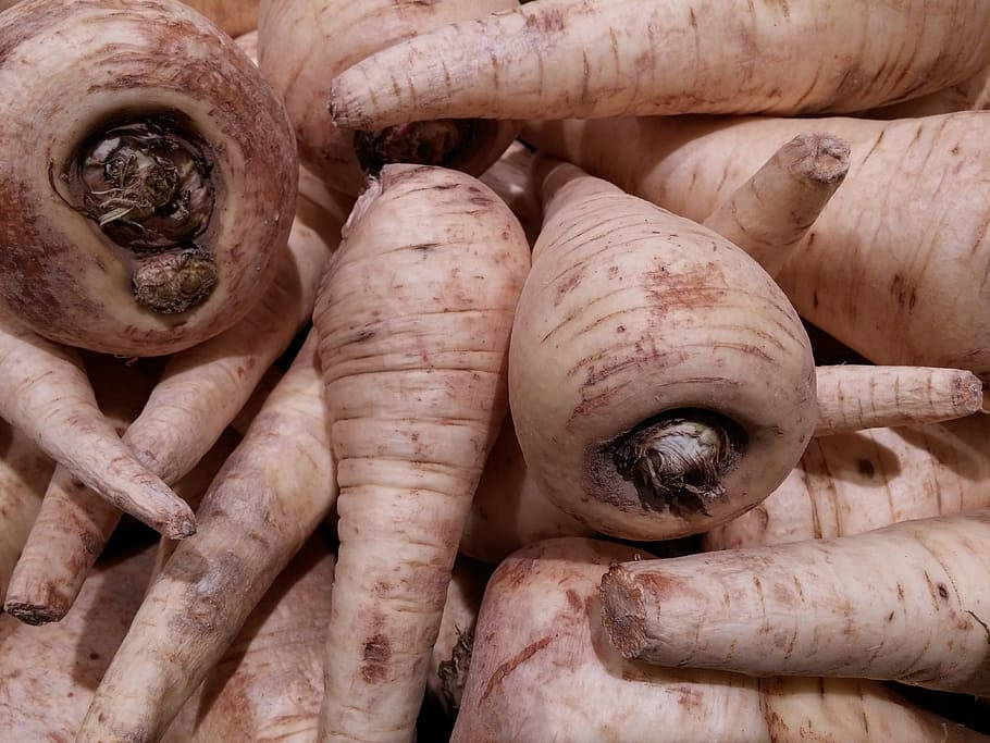 Parsnip Root Crop Vegetables Extreme Close Up Wallpaper