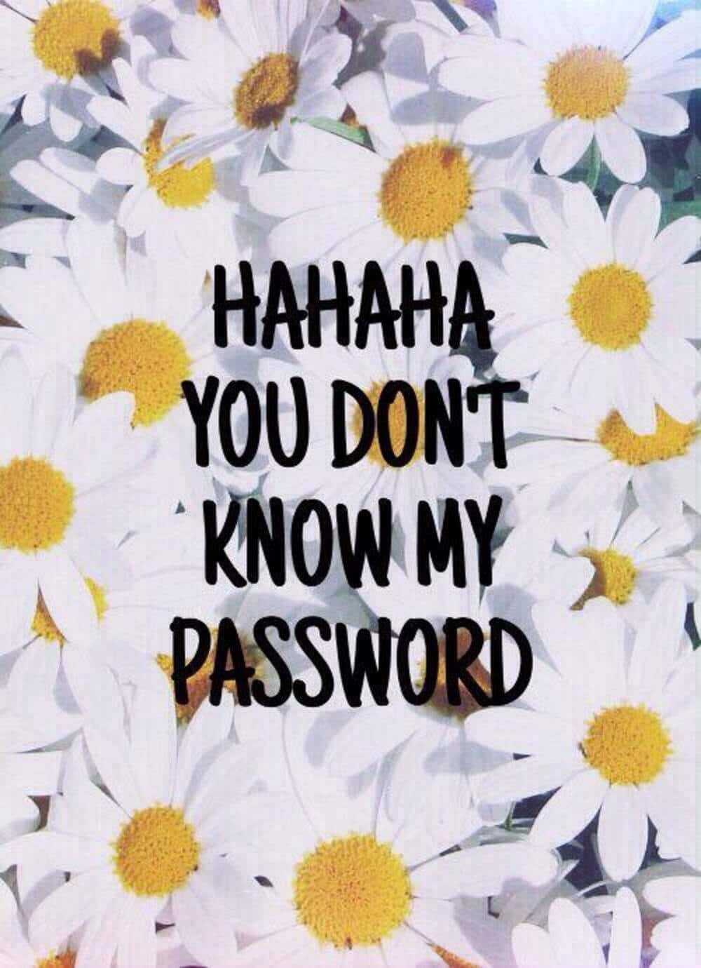 Password Humor Daisy Background Wallpaper