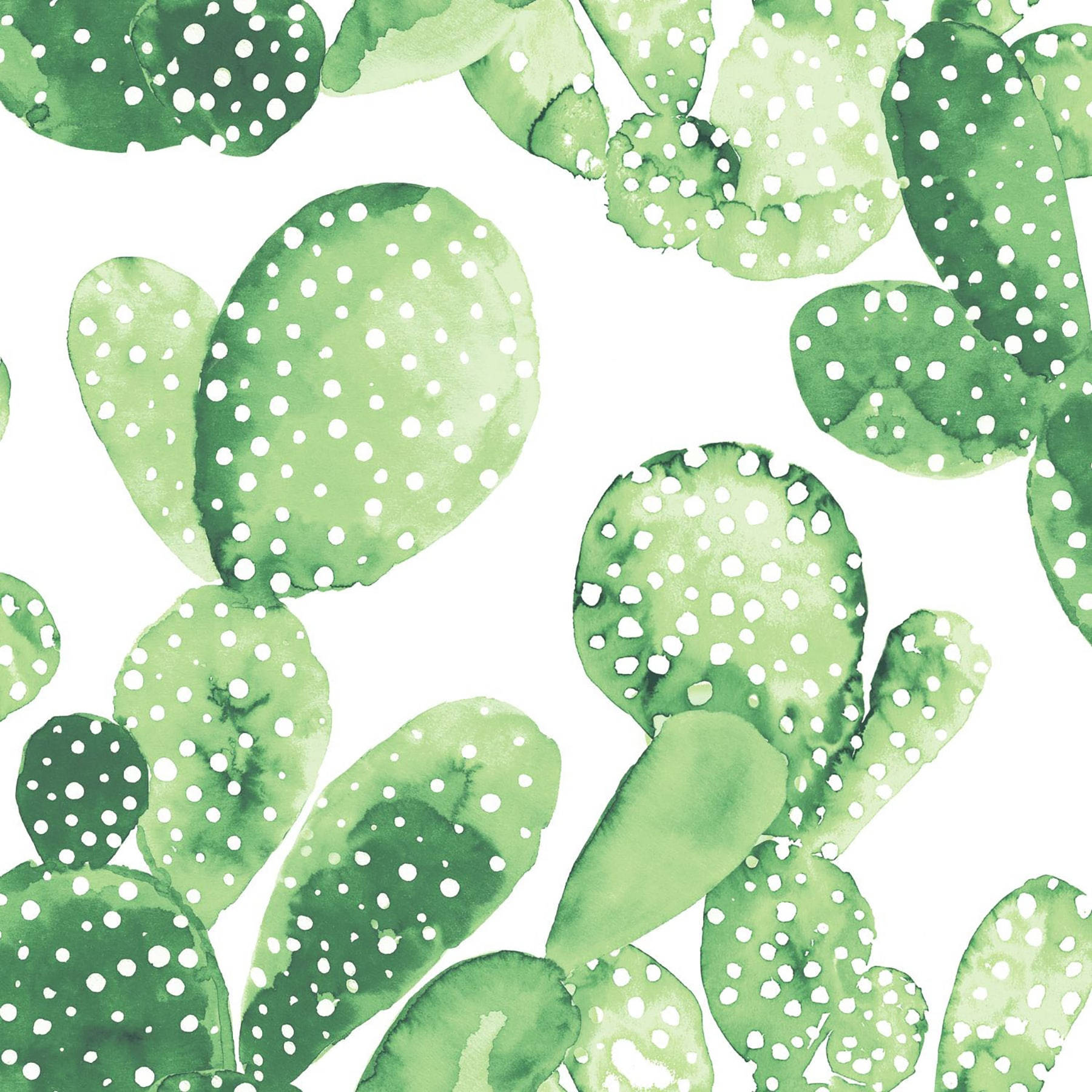 Pastel Cactus Big Leaf Wallpaper