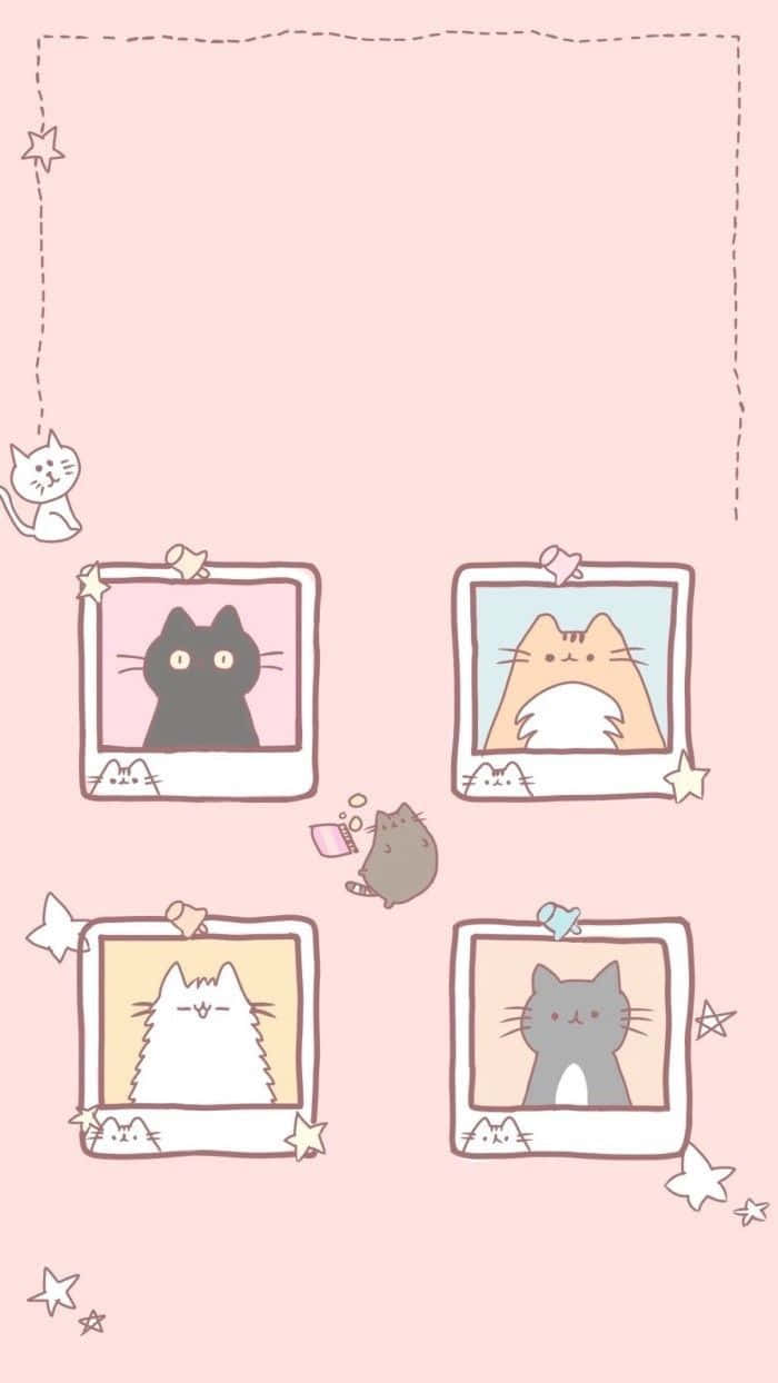 Pastel Cat Polaroids Aesthetic Wallpaper