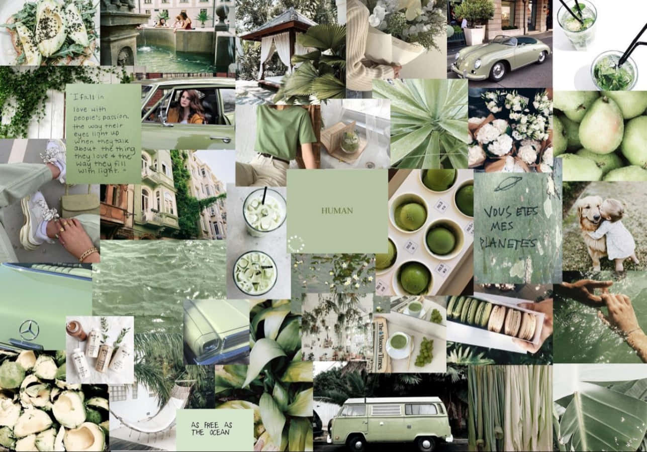 Pastel Green Aesthetic Desktop Multiple Photographs Wallpaper