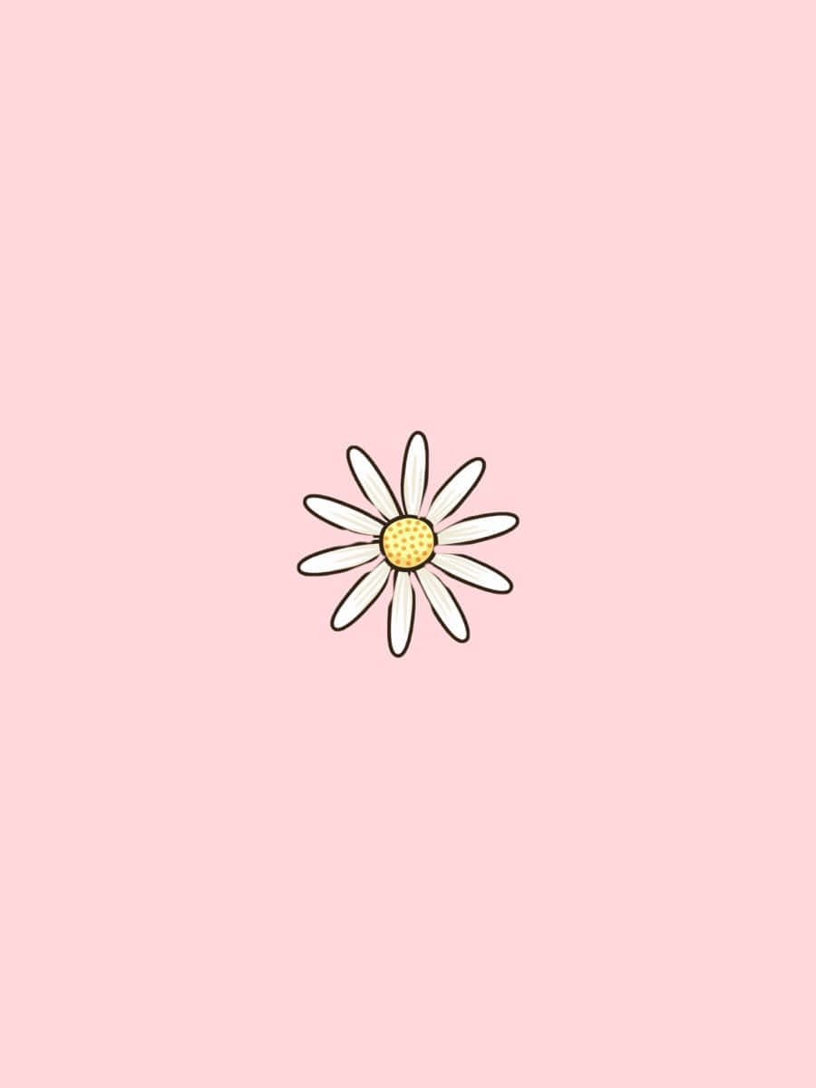 Pastel Pink Daisy Illustration Wallpaper