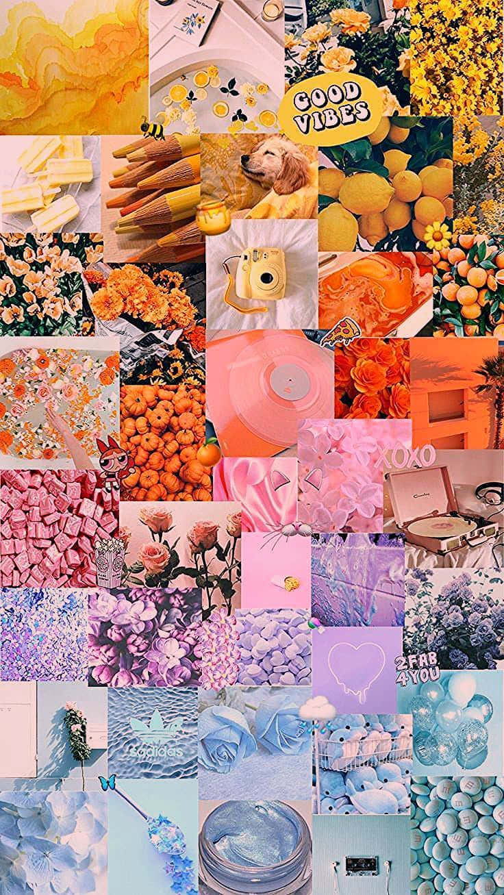 Pastel_ Rainbow_ Collage_ Aesthetic.jpg Wallpaper