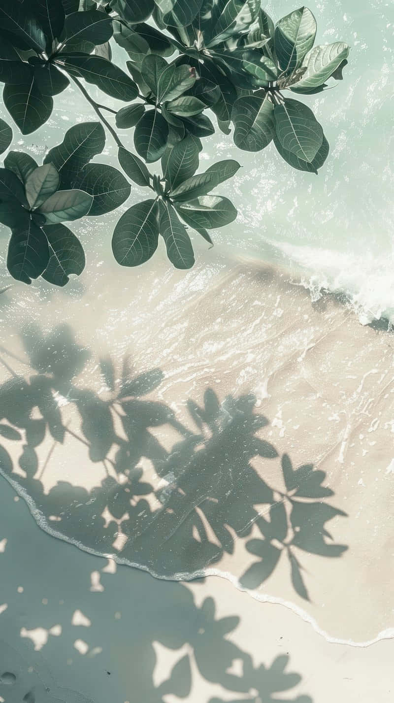 Pastel_ Shoreline_ Shadows Wallpaper