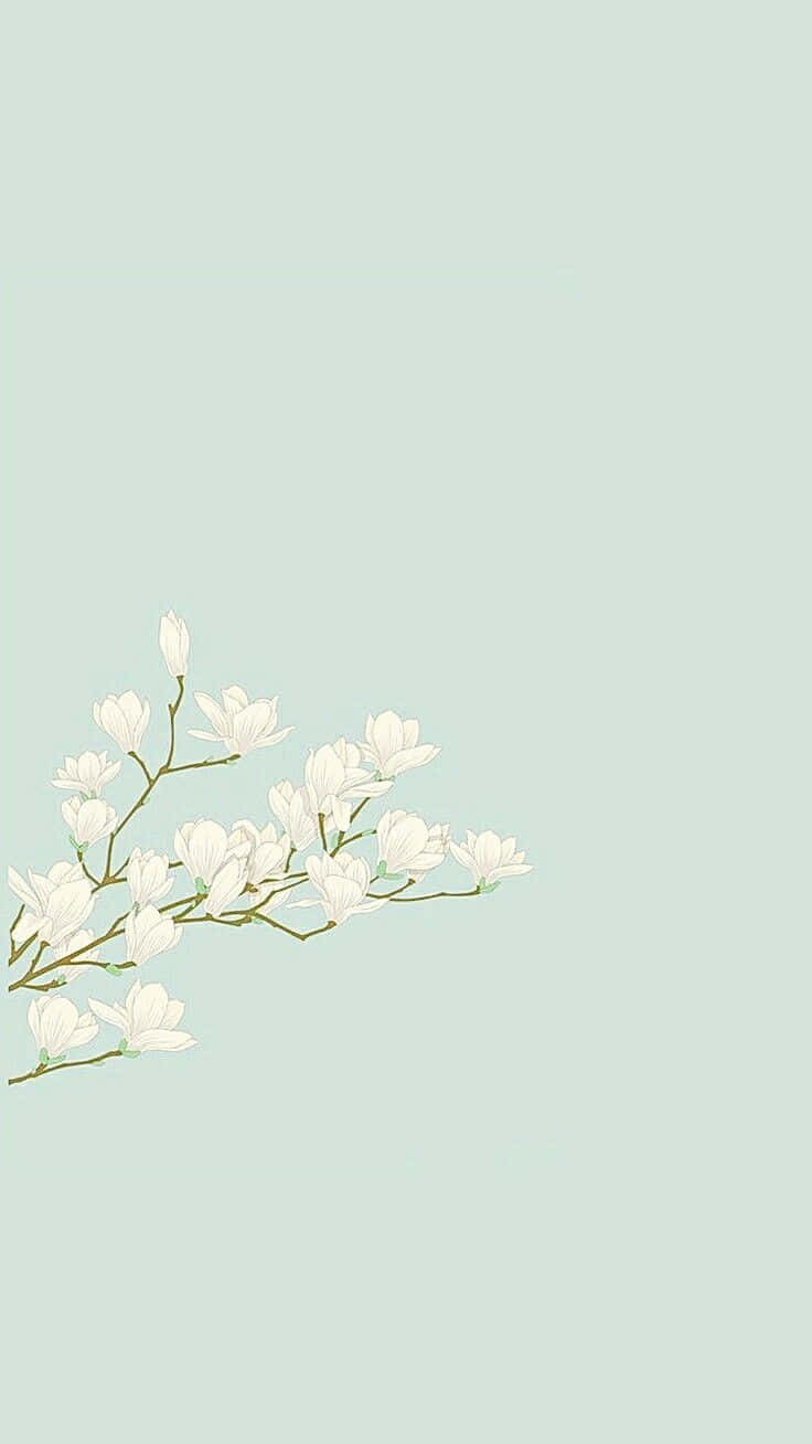 Pastel Teal Floral Aesthetic Wallpaper