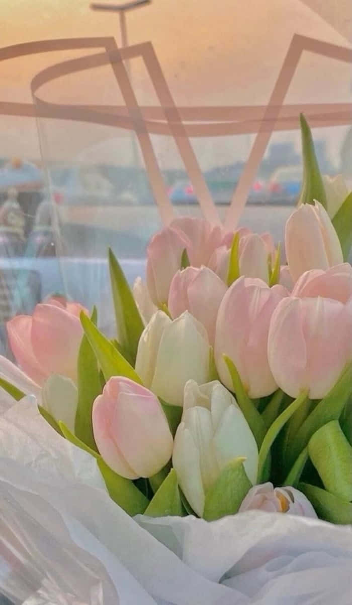 Pastel Tulips Sunset Glow Wallpaper