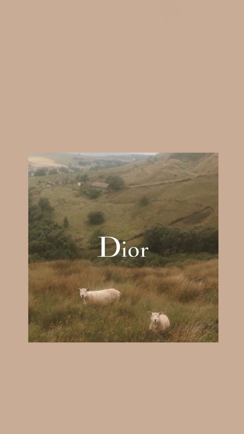 Pastoral Dior Aesthetic Wallpaper