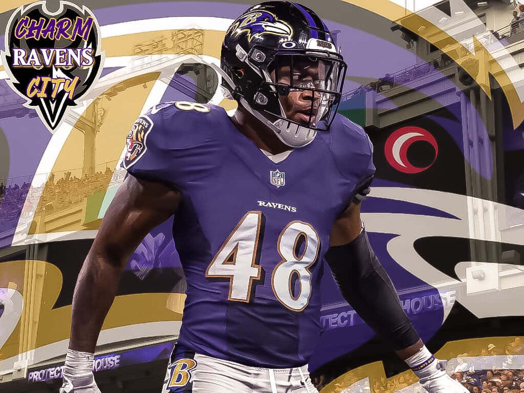 Patrick Queen Baltimore Ravens Linebacker Wallpaper