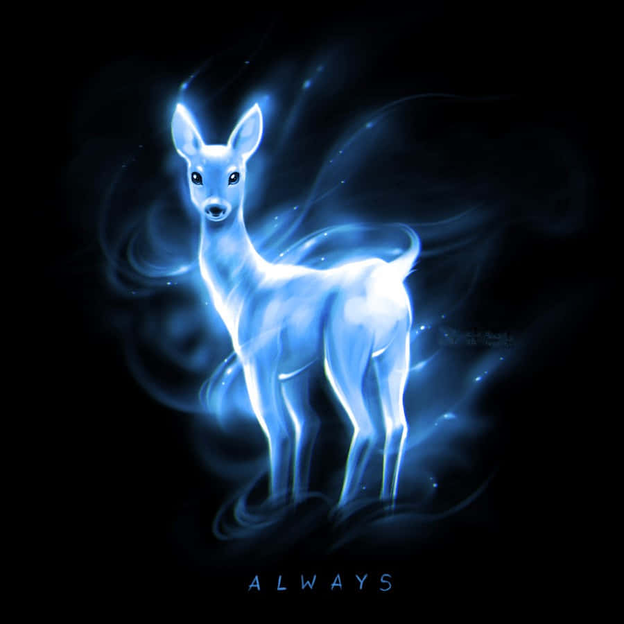 Patronus 900 X 900 Wallpaper Wallpaper