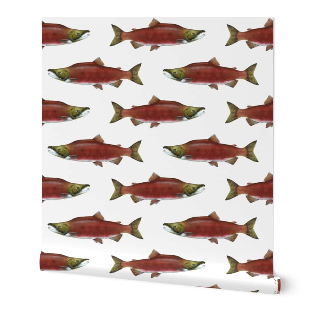 Patterned Sockeye Salmon Wrap Wallpaper