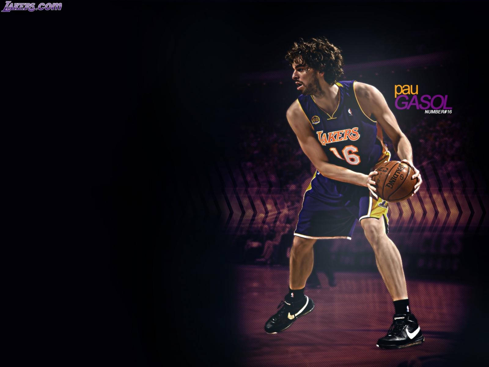 Pau Gasol Nike Shoes Wallpaper