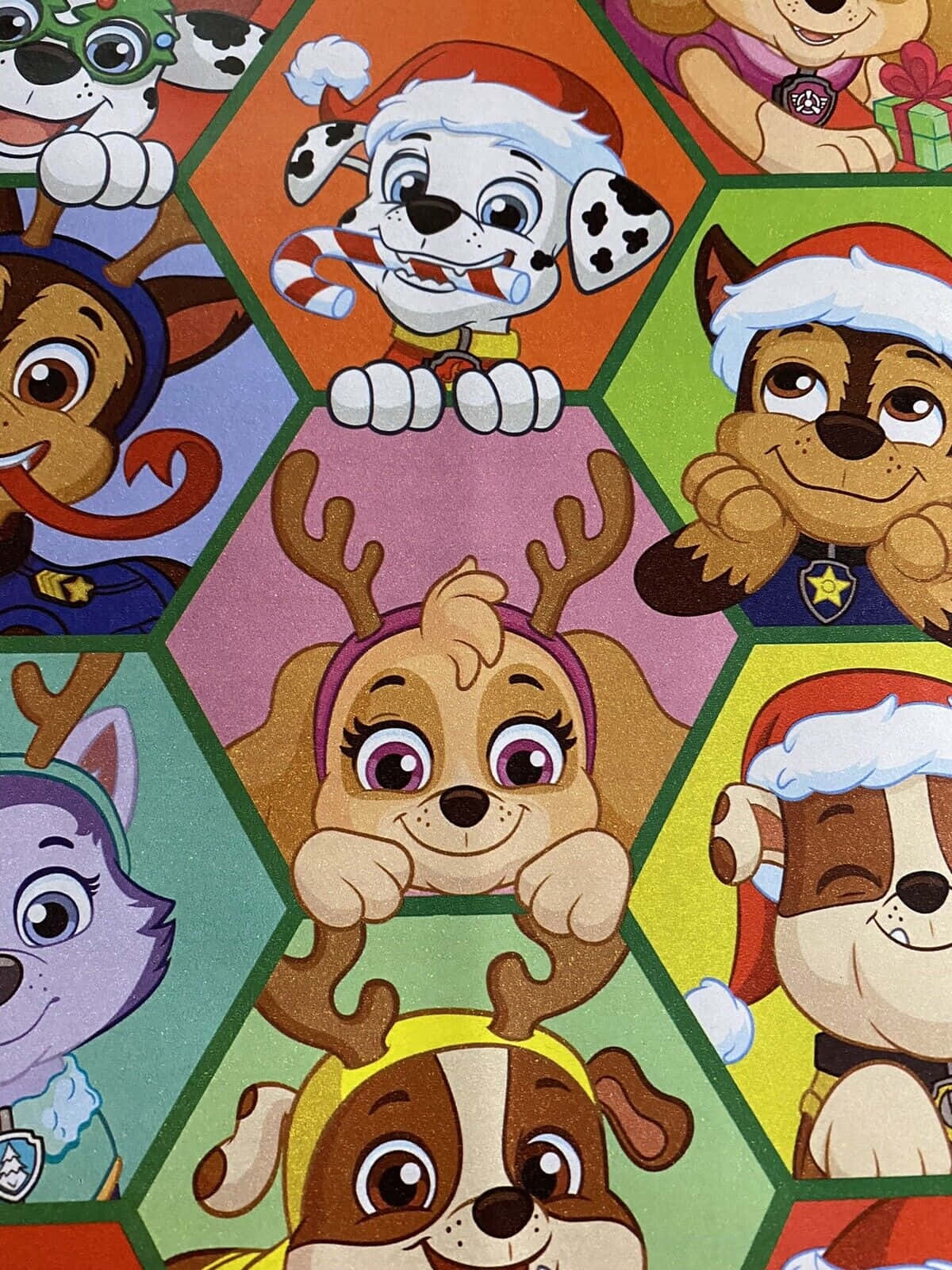 Paw Patrol Characters Holiday Themed Wallpaper