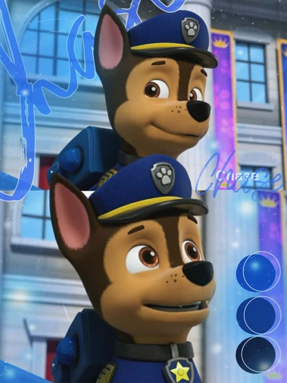 Paw Patrol - Paw Patrol - Paw Patrol - Paw Patrol - Paw Patrol - Paw Patrol - Paw Wallpaper