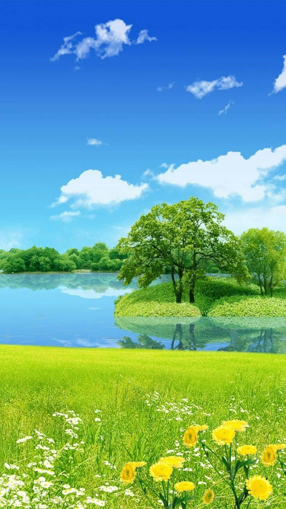 Peaceful Meadow Nature Android Hd Wallpaper