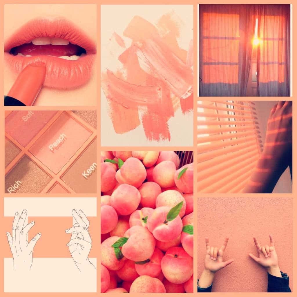 Peachy Aesthetic Collage Wallpaper