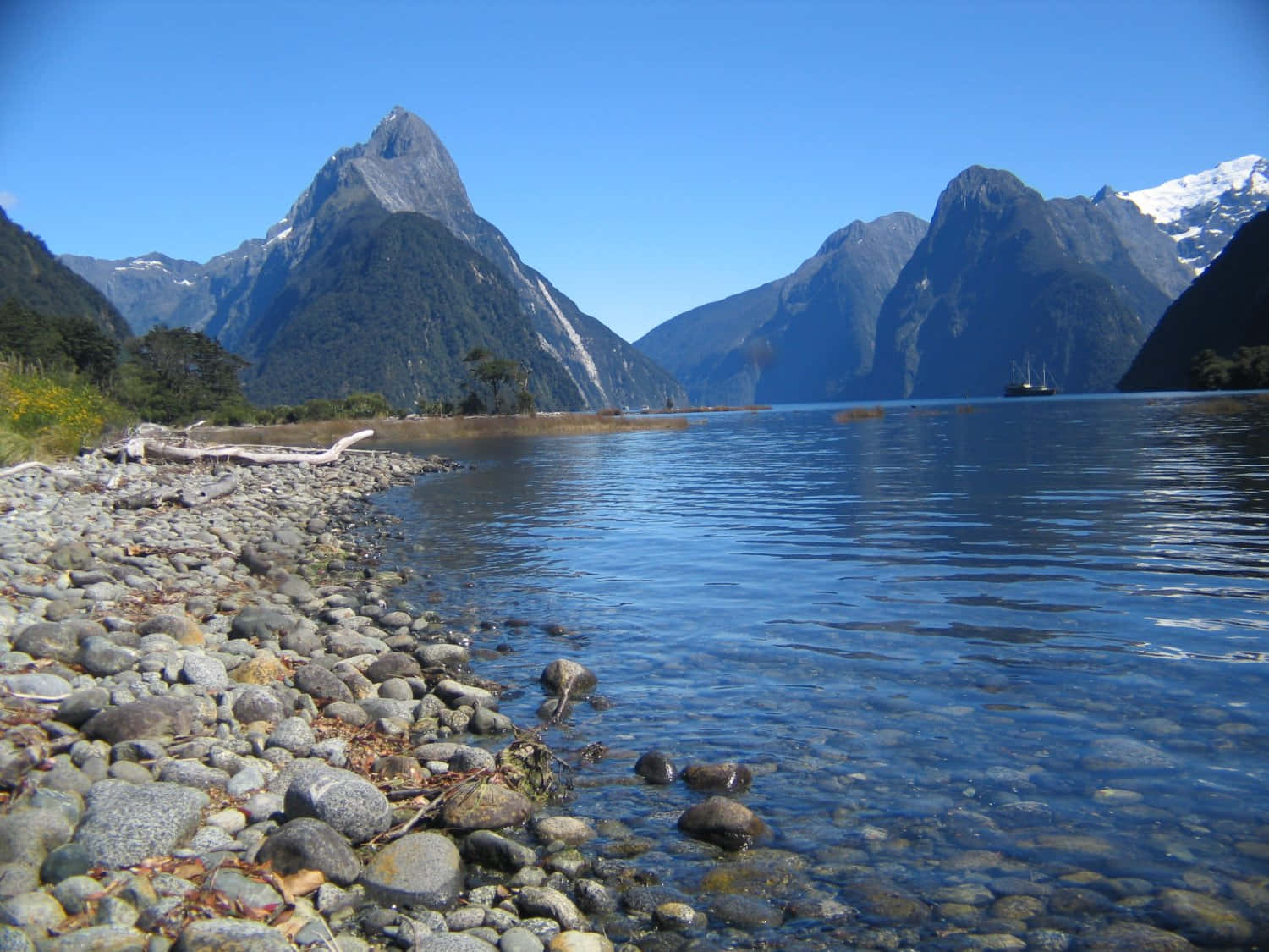 Pebbles Rock Milford Sound Wallpaper