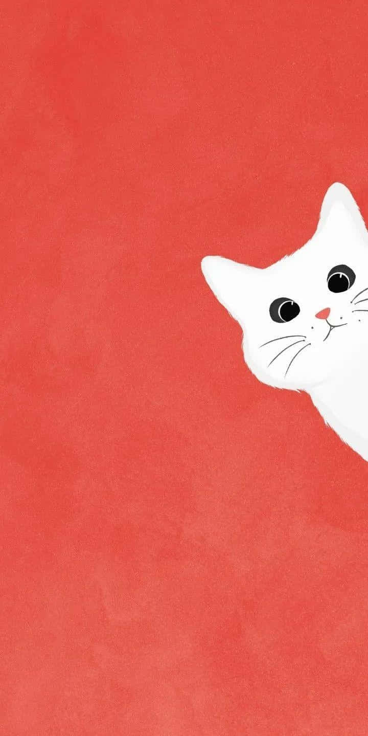 Peeking White Cat Illustration Wallpaper