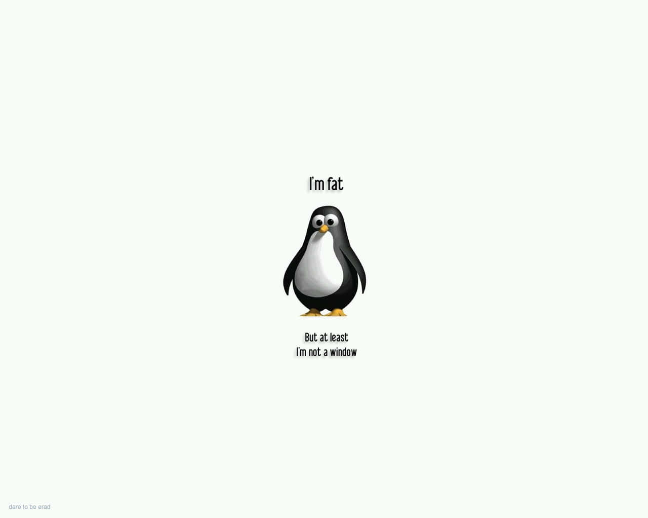 Penguin Humor_ Funny Quote.jpg Wallpaper