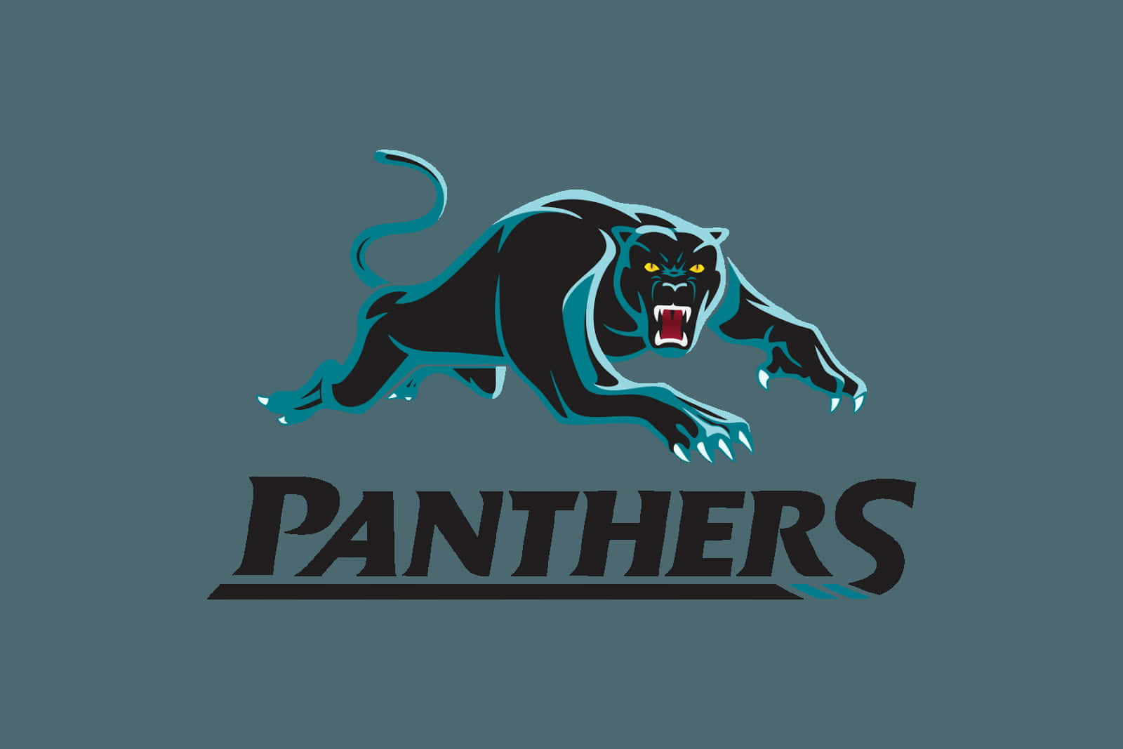 Penrith Panthers Wallpaper