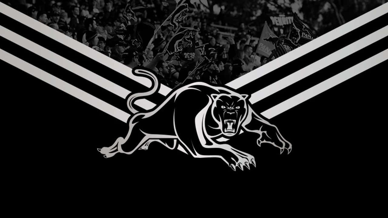 Penrith Panthers Wallpaper