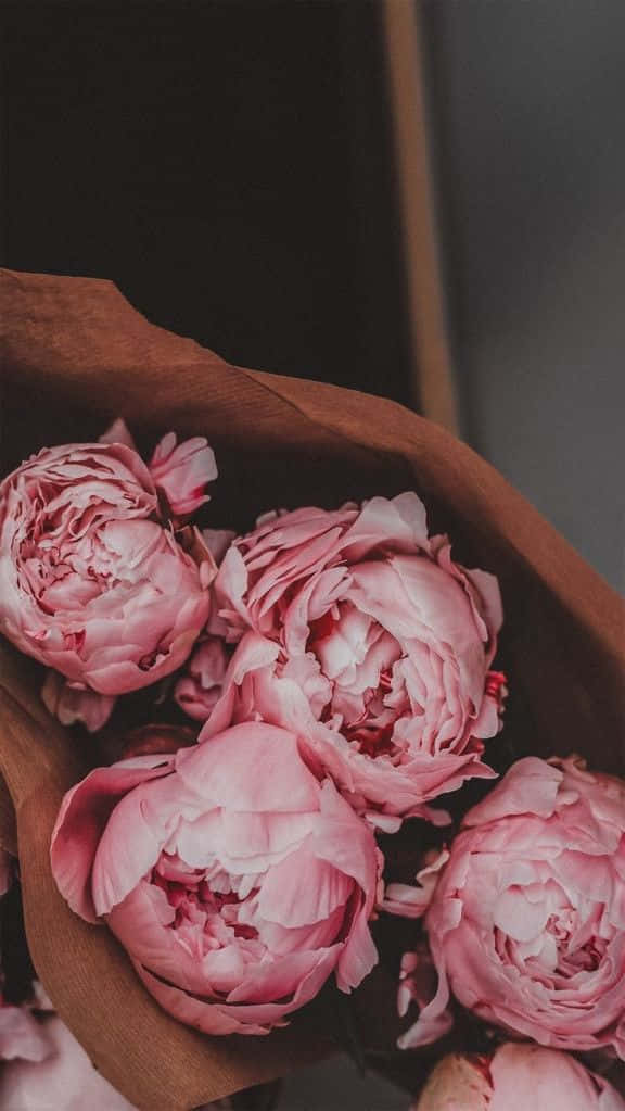 Peony Bouquet Aesthetic.jpg Wallpaper