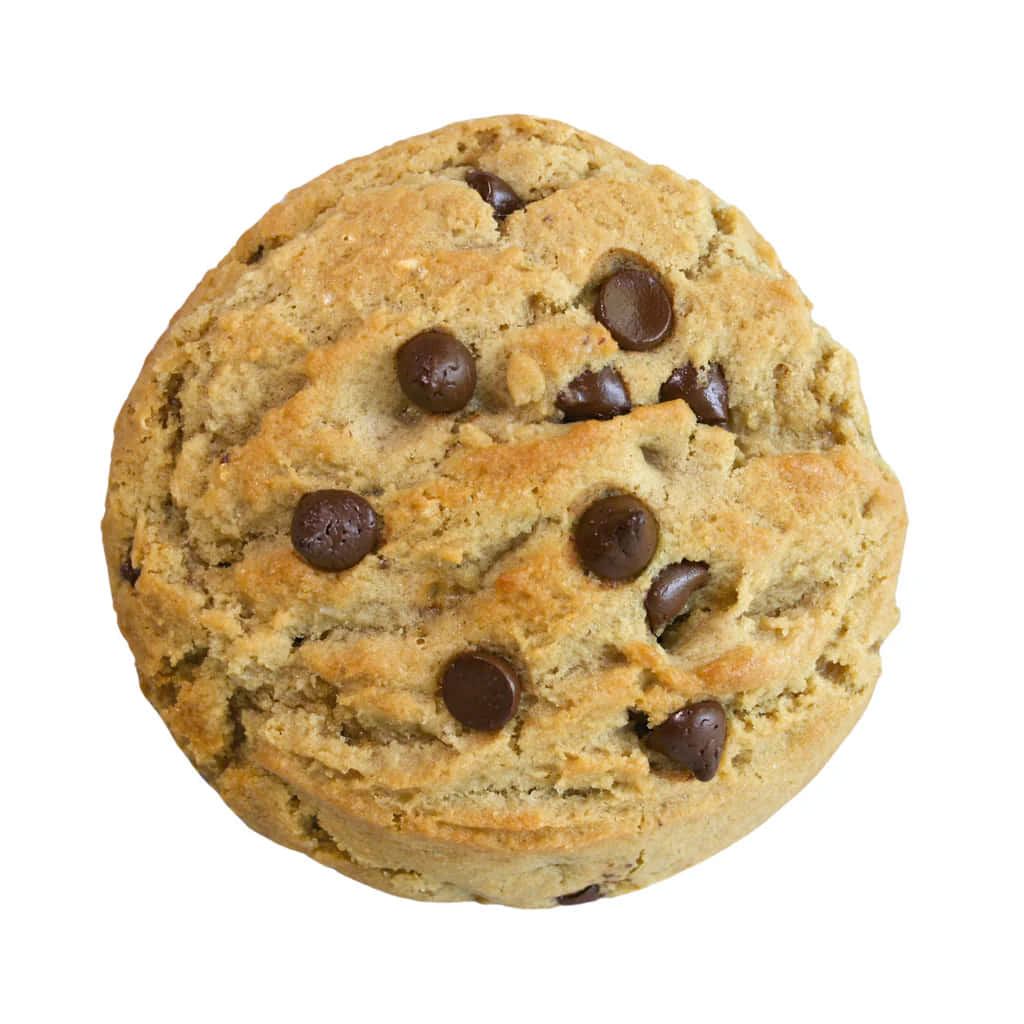 Perfect Chocolate Chip Cookie Isolated Wallpaper