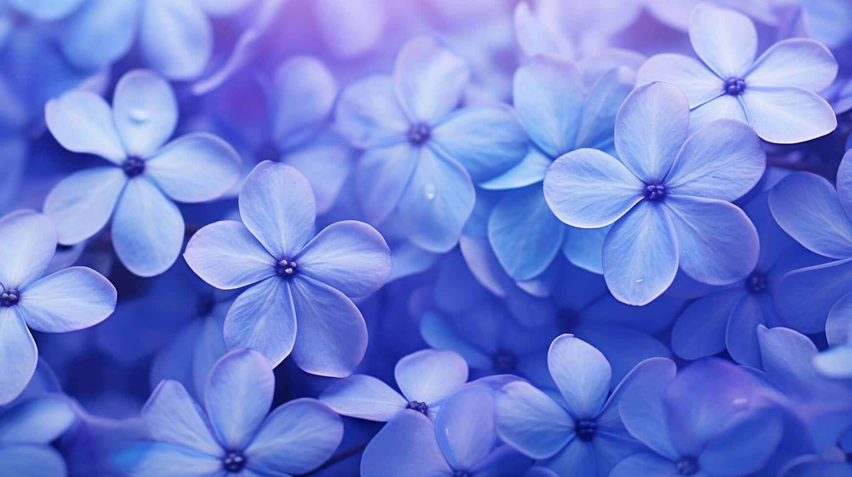 Periwinkle Flower Aesthetic Background Wallpaper