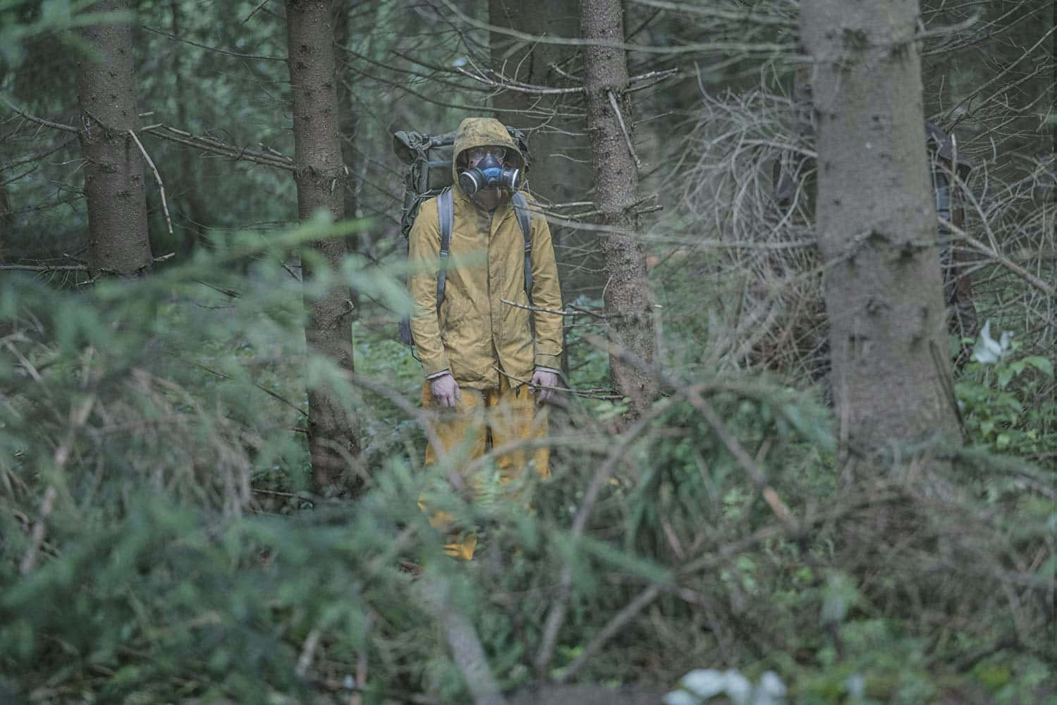 Personin Hazmat Suitin Forest Wallpaper