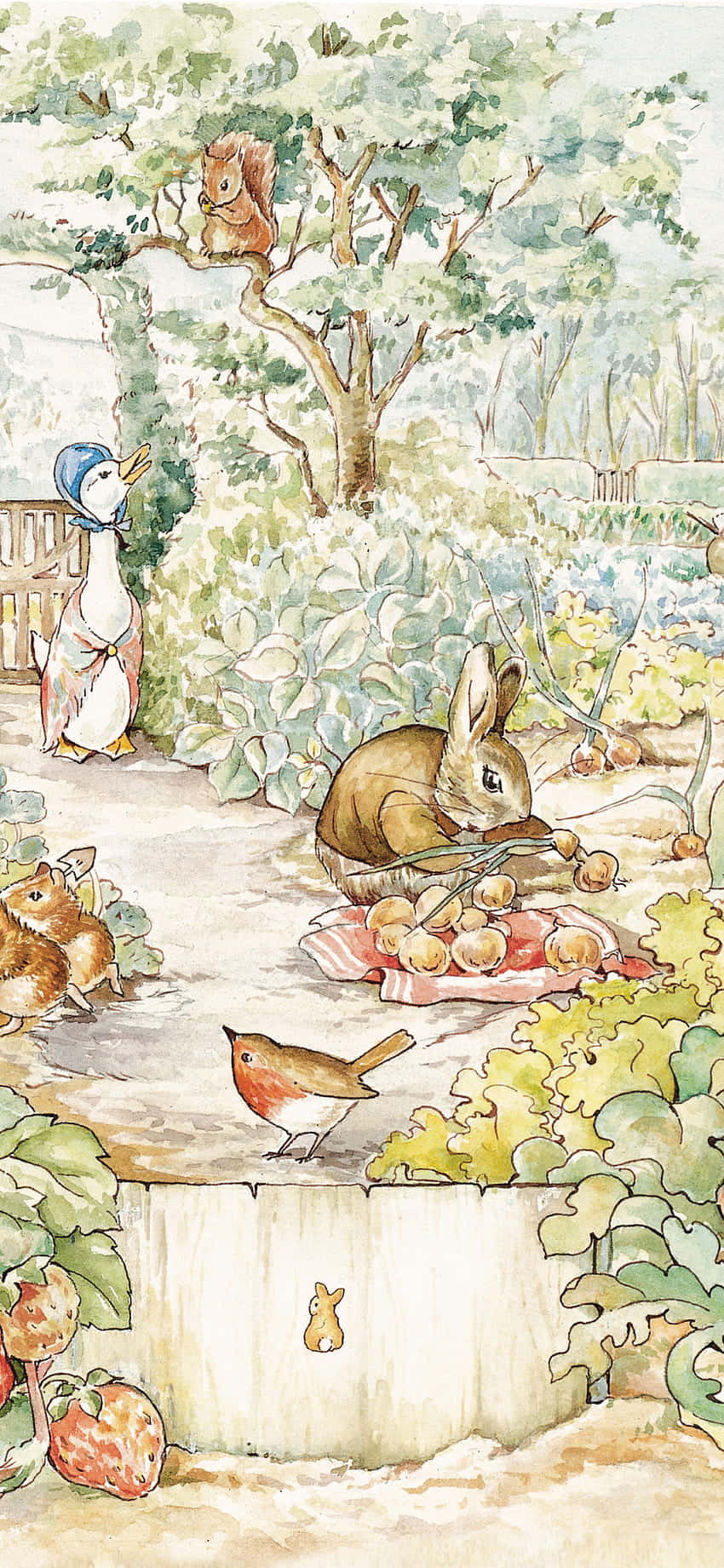 Peter Rabbit Garden Illustration Wallpaper