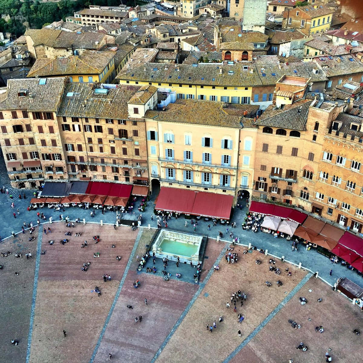 Piazza Del Campo Wallpaper