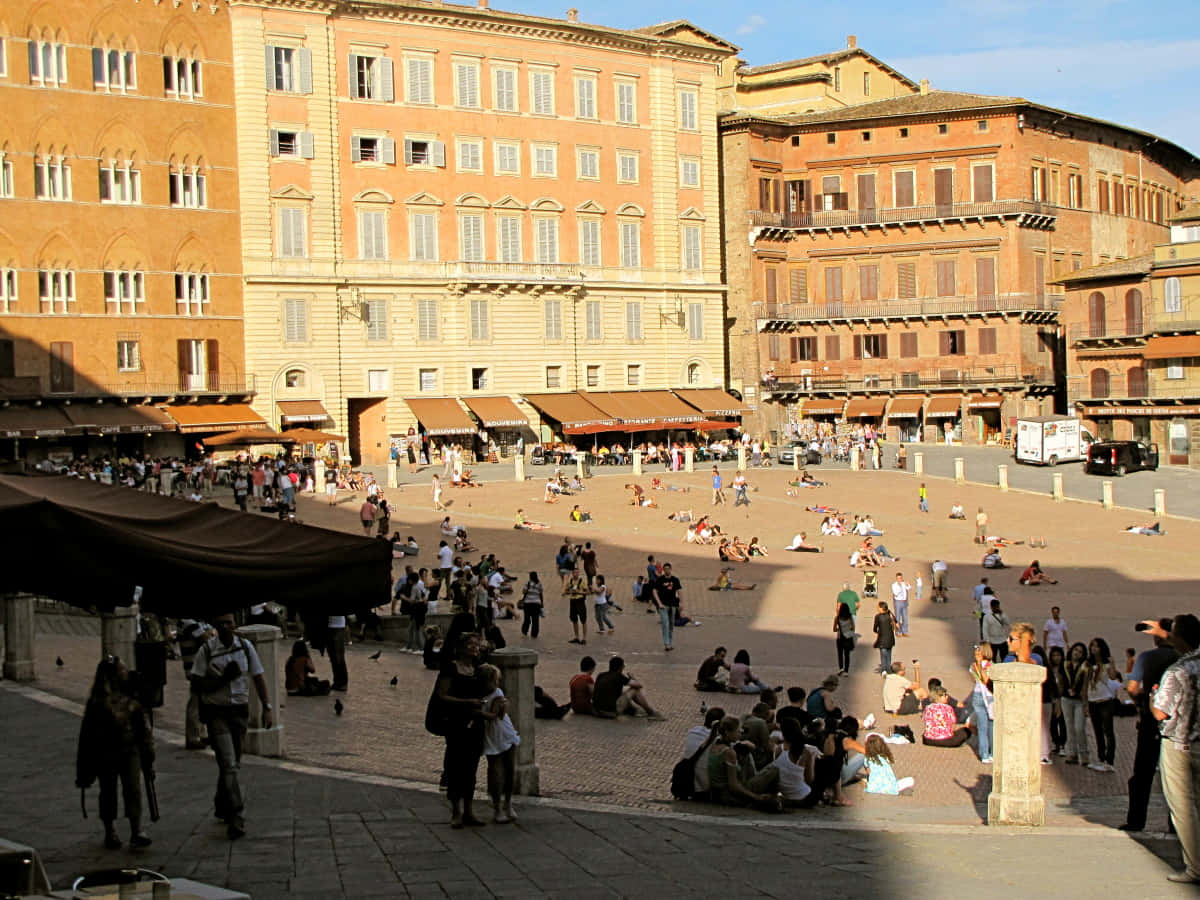 Piazza Del Campo Wallpaper