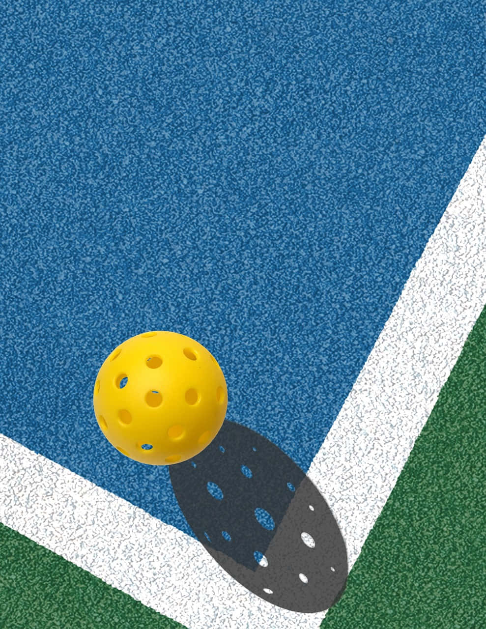 Pickleball Paddleand Ballon Court Wallpaper