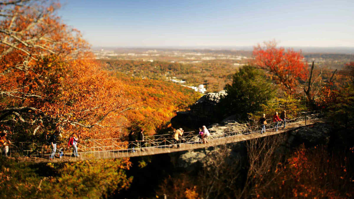 Picturesque Fall Bridge In Autumn Forest Wallpaper