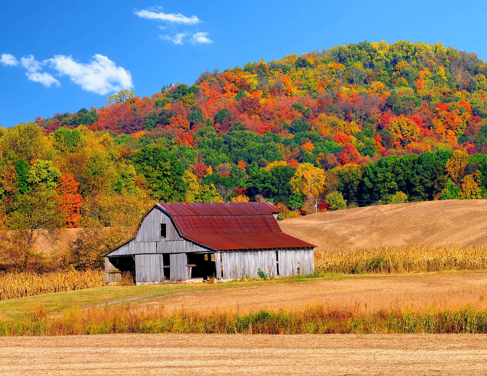 Picturesque Fall Farmhouse Wallpaper