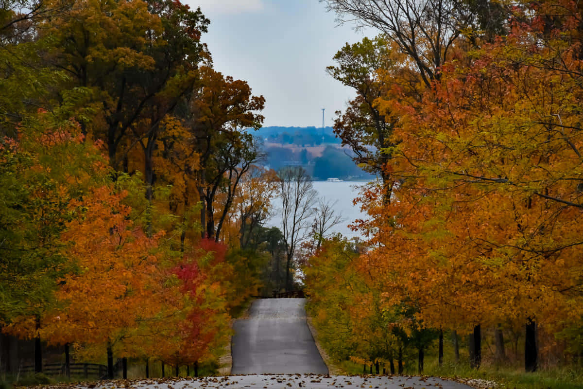 Picturesque Fall Road In Golden Forest Wallpaper