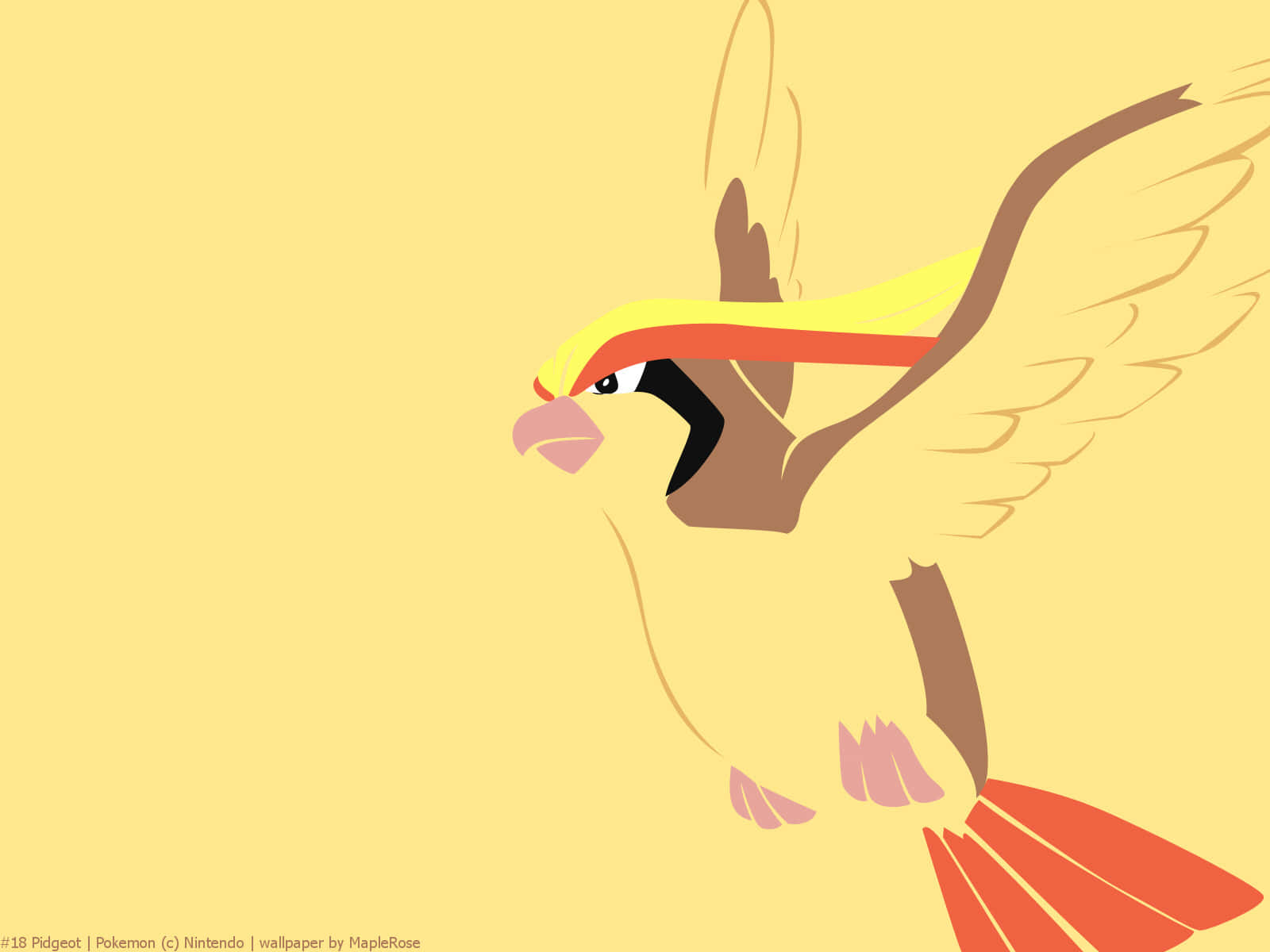 Pidgeotto Art Illustration Wallpaper