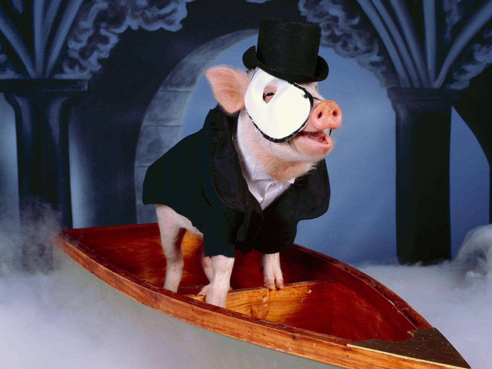 Pig Phantom Of The Opera Wallpaper