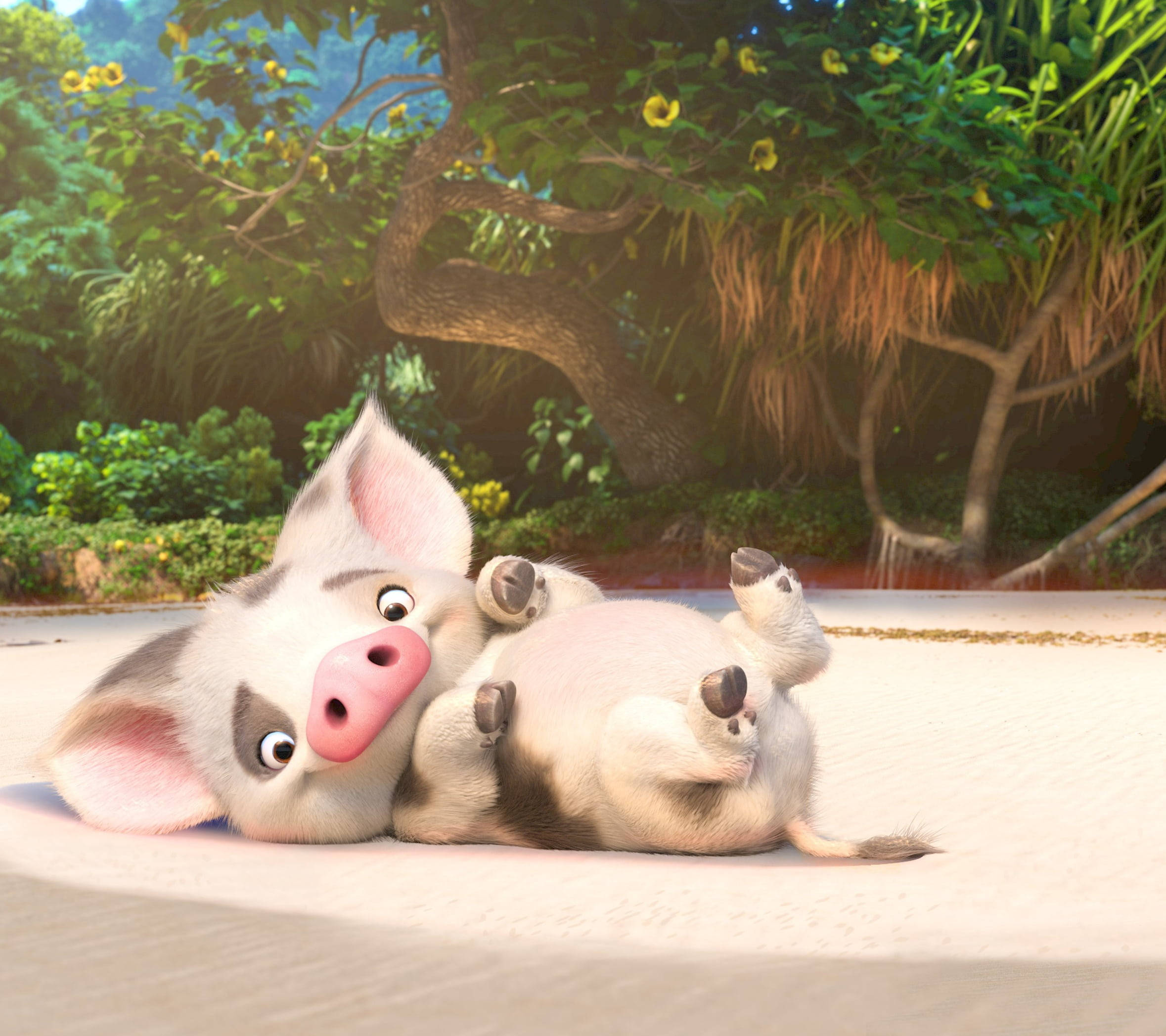 Piggy Pua From Moana Wallpaper