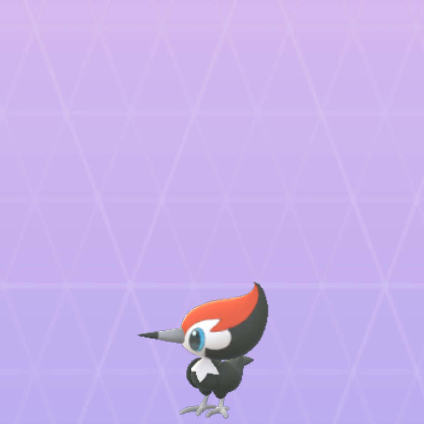 Pikipek Against Purple Background Wallpaper