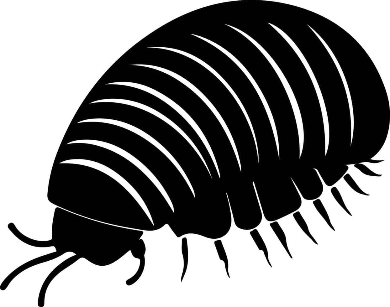 Pillbug Silhouette Graphic Wallpaper