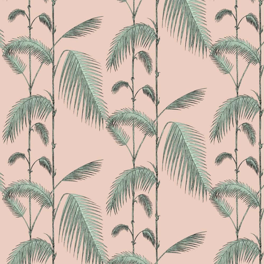 Pink And Green Aesthetic, An Eye-catching Combination Of Harmony And Contrast. Wallpaper