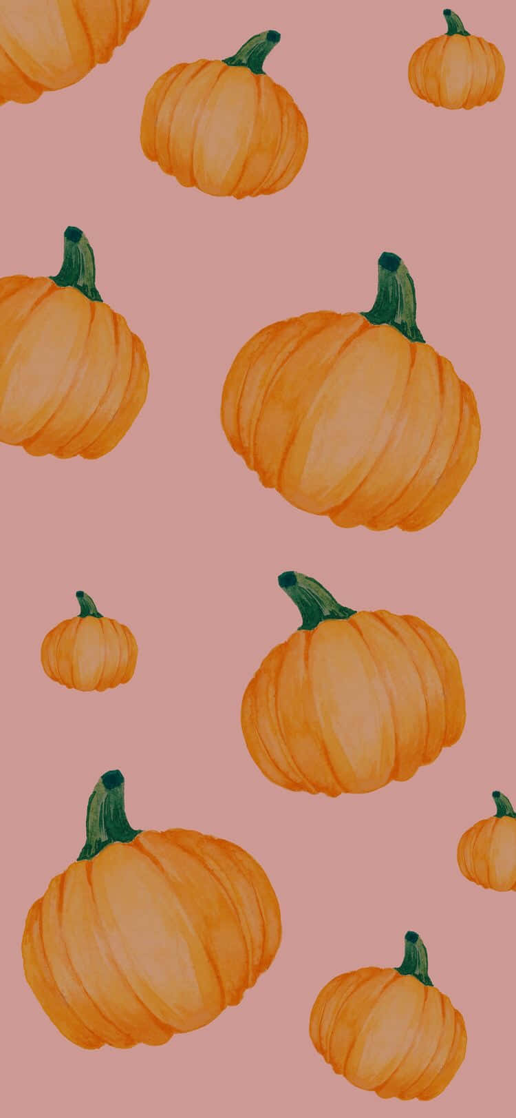 Pink Background Orange Pumpkins Wallpaper