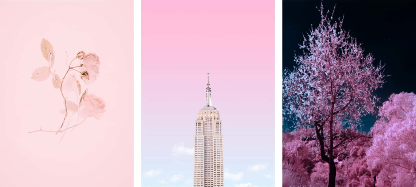 Pink Fall Aesthetic Collage Wallpaper