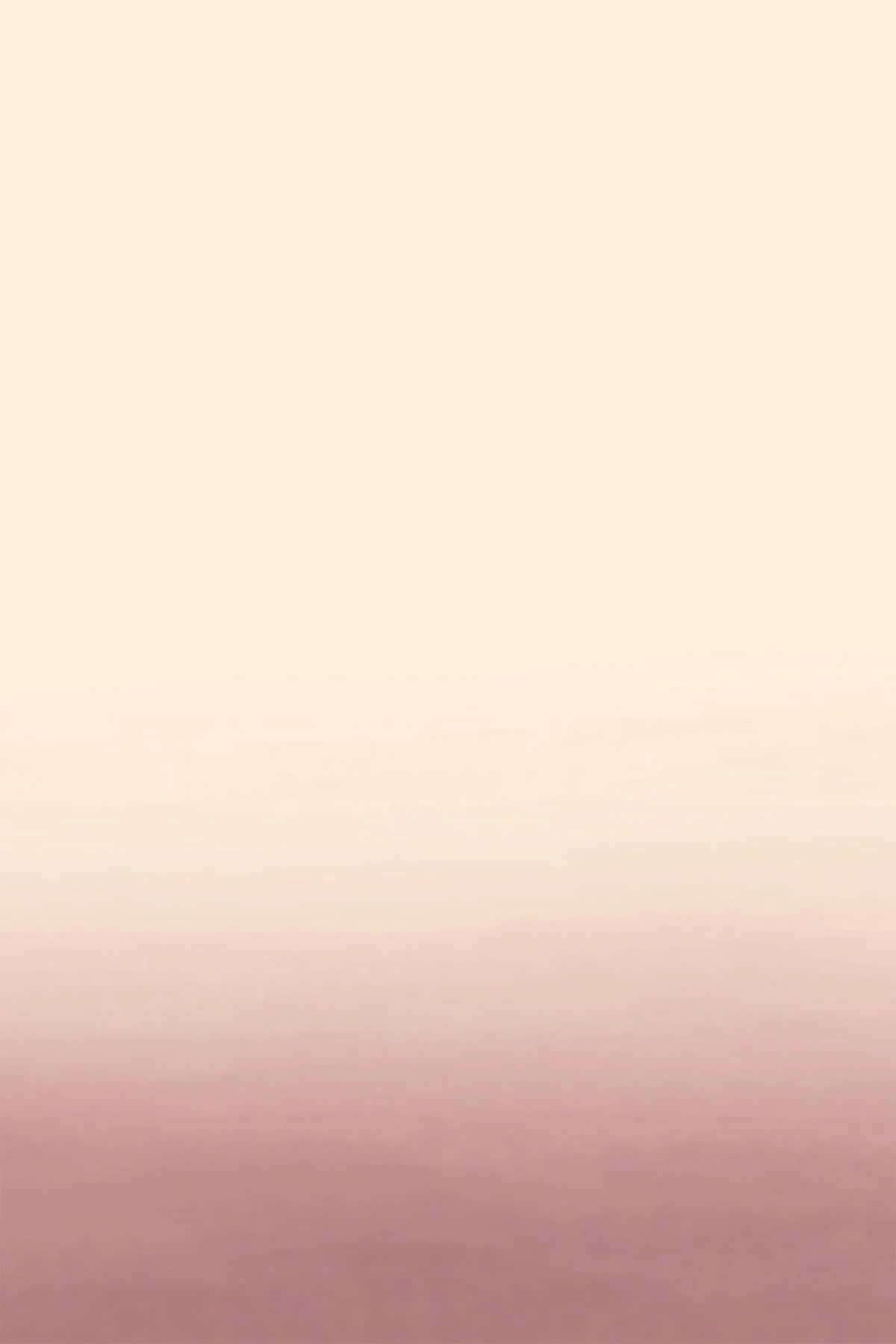 Pink Ombre Gradient Background Wallpaper