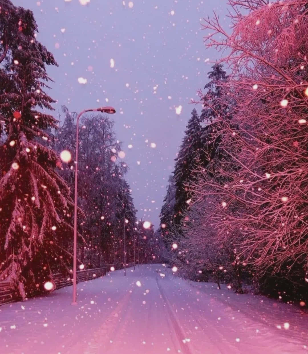 Pink Snowfall Winter Roadscape Wallpaper